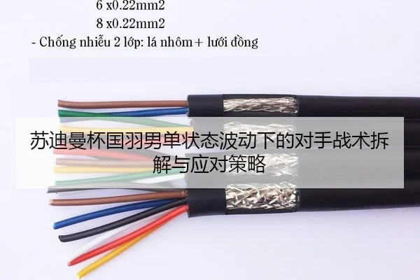 苏迪曼杯国羽男单状态波动下的对手战术拆解与应对策略